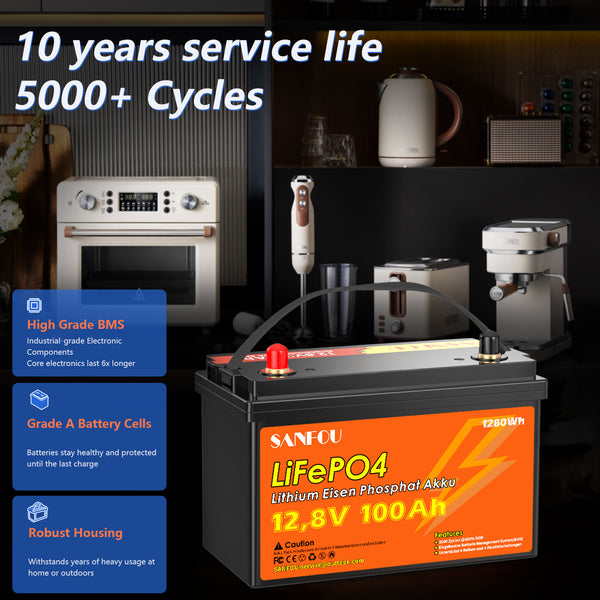 SANFOU 12.8V 100Ah LiFePO4 Battery, Built In 100A BMS