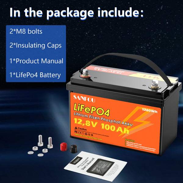 SANFOU 12.8V 100Ah LiFePO4 Battery, Built In 100A BMS
