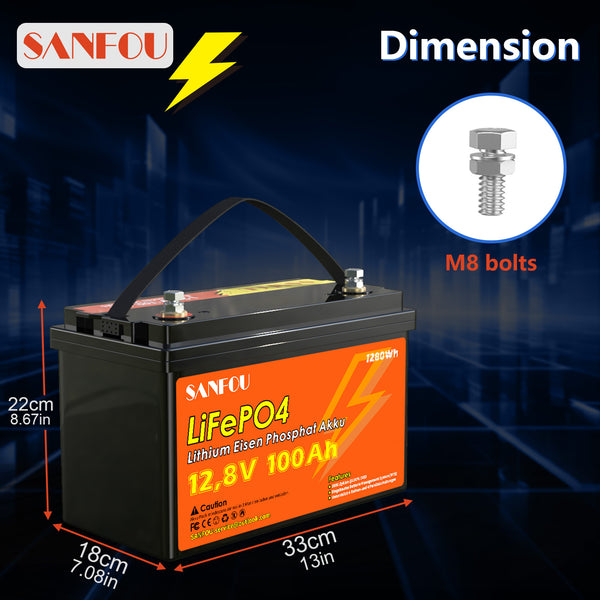 SANFOU 12.8V 100Ah LiFePO4 Battery, Built In 100A BMS